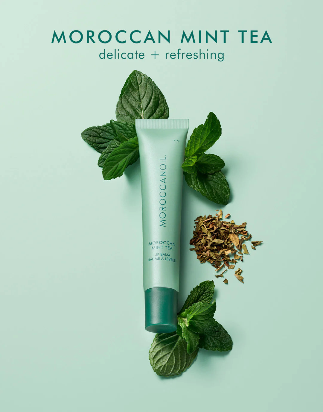 New MoroccanOil Mint Tea Argan Butter Lip Balm $22 usd