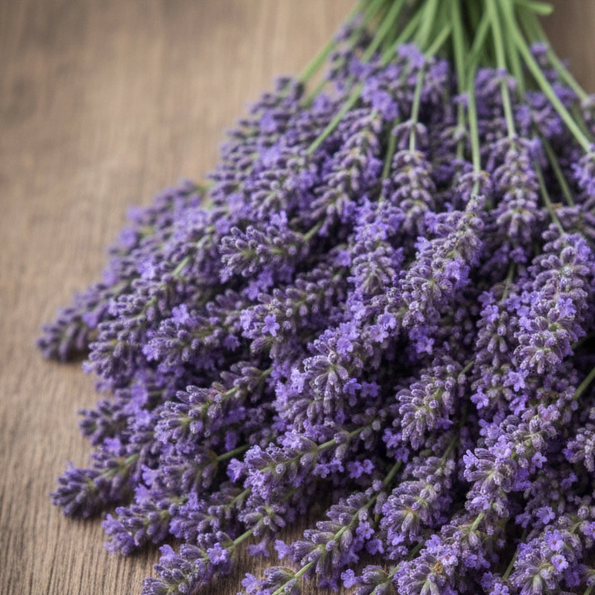 Provence Lavender 15 mL Fragrance Cartridge $80 USD