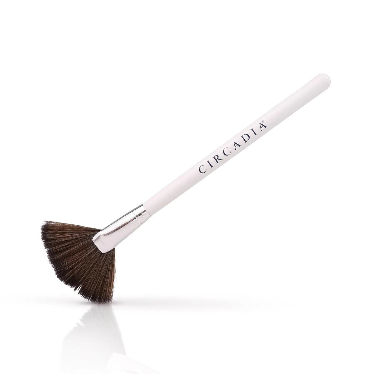 Circadia Large Fan Brush $11 USD