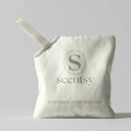 Scentsy Pak Coconut Lemongrass $19 USD