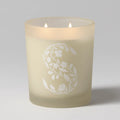 Scentsy Blue Grotto Candle $40 USD