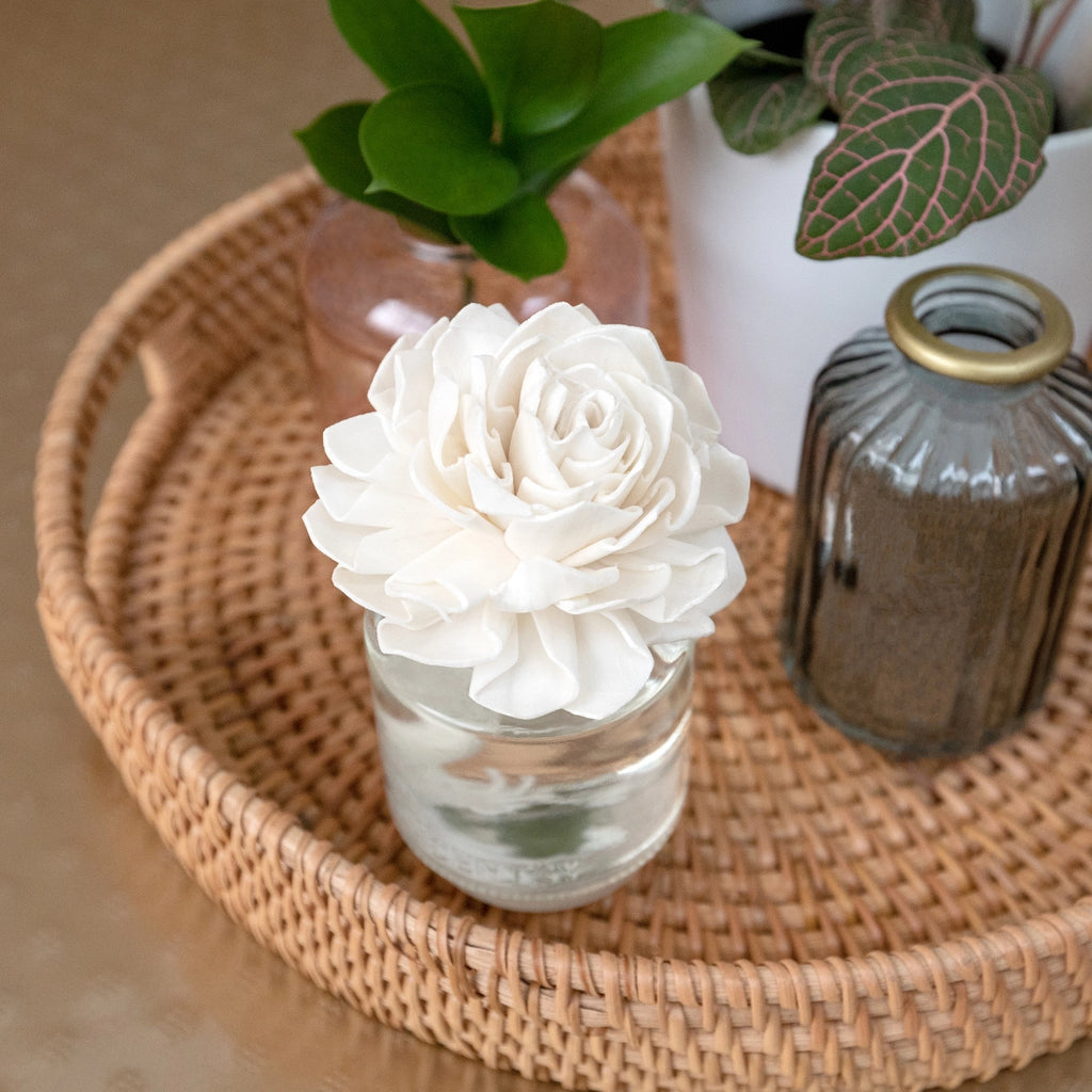 Scentsy Aloe Water & Cucumber - Dahlia Darling Fragrance $40 USD